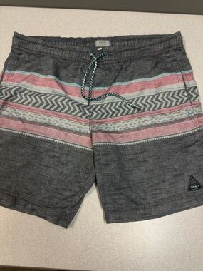 Trinity Men’s Gray Swim Trunks with Pink and Light Blue Stripes